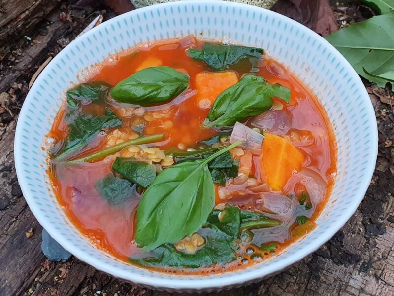 Red lentil and sweet potato soup