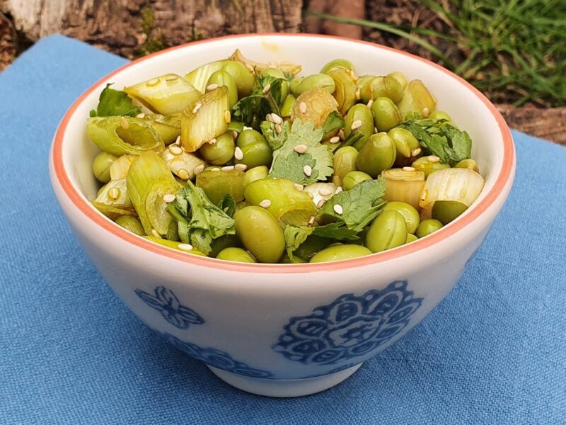 Soybean and spring onion salad