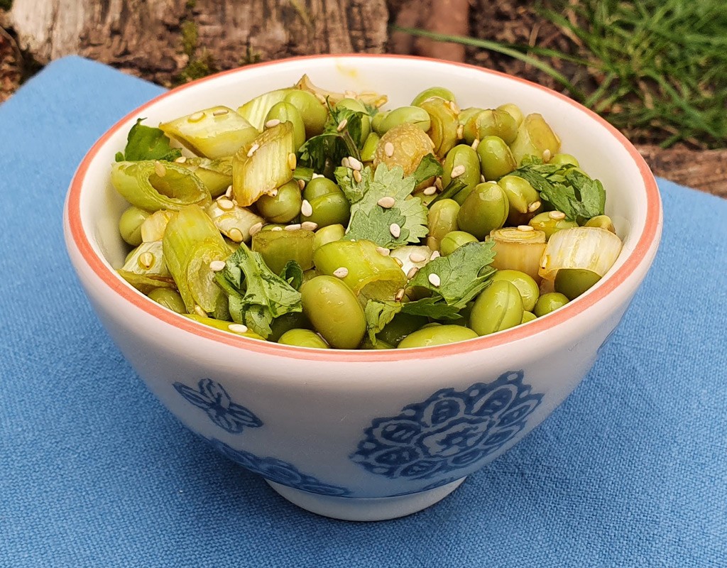 Soybean and spring onion salad