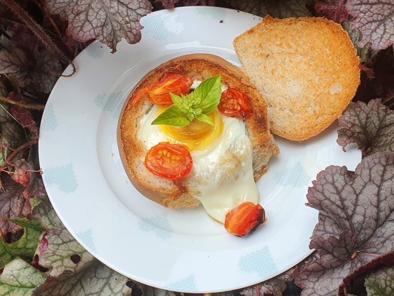 Baked eggs and tomatoes in bread bowls