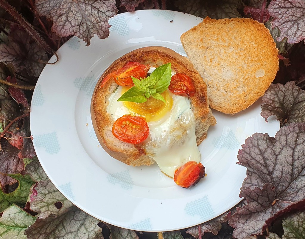 Baked eggs and tomatoes in bread bowls