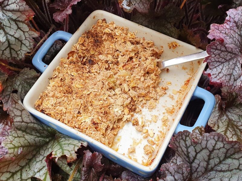 Vegan spiced apple and oat crumble