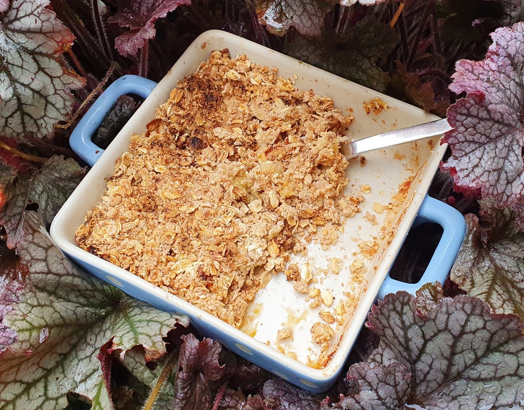 Vegan spiced apple and oat crumble