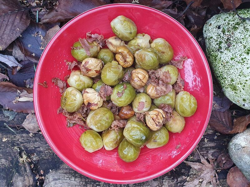 Brussels sprouts with chestnuts and prosciutto