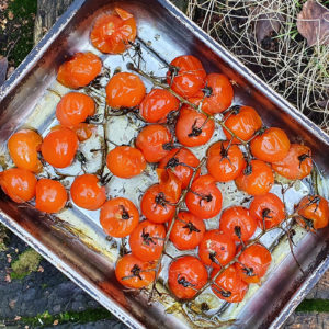 Garlic grilled cherry tomatoes