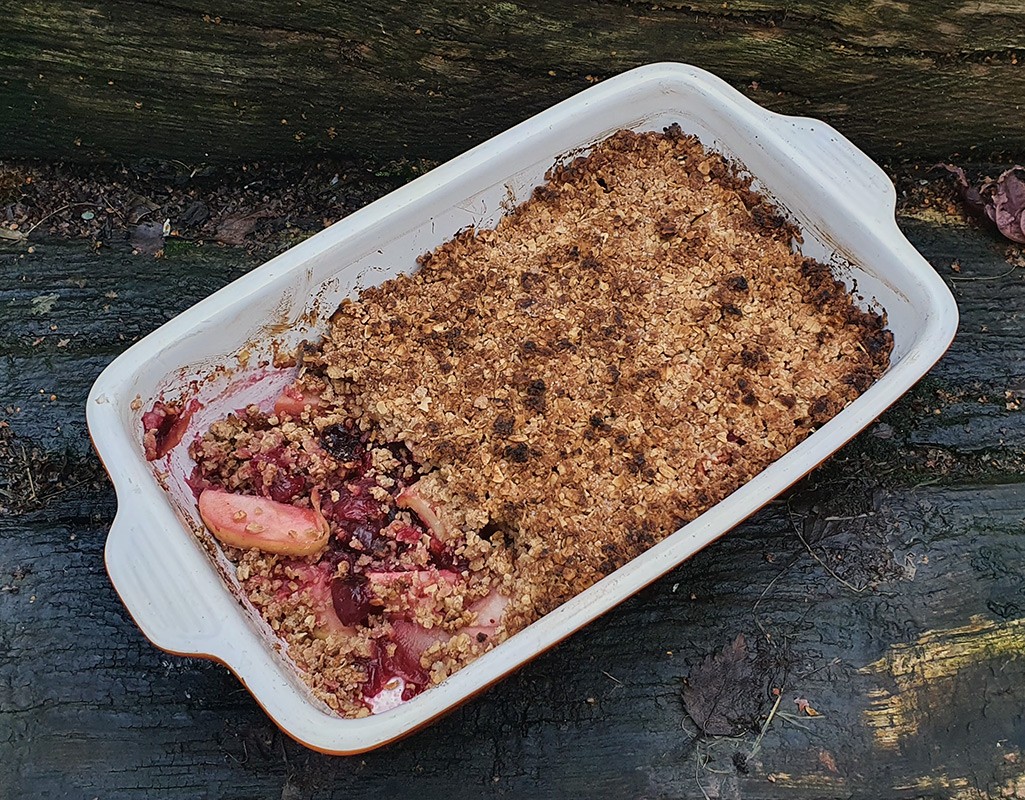 Vegan Apple and cranberry sauce crumble