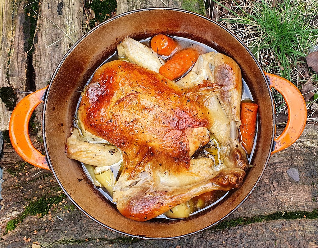 Pot-roasted chicken with lemon and root vegetables