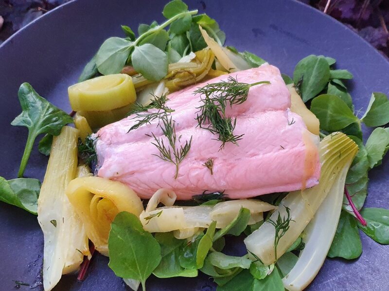 Wild salmon with sautéed leek and fennel