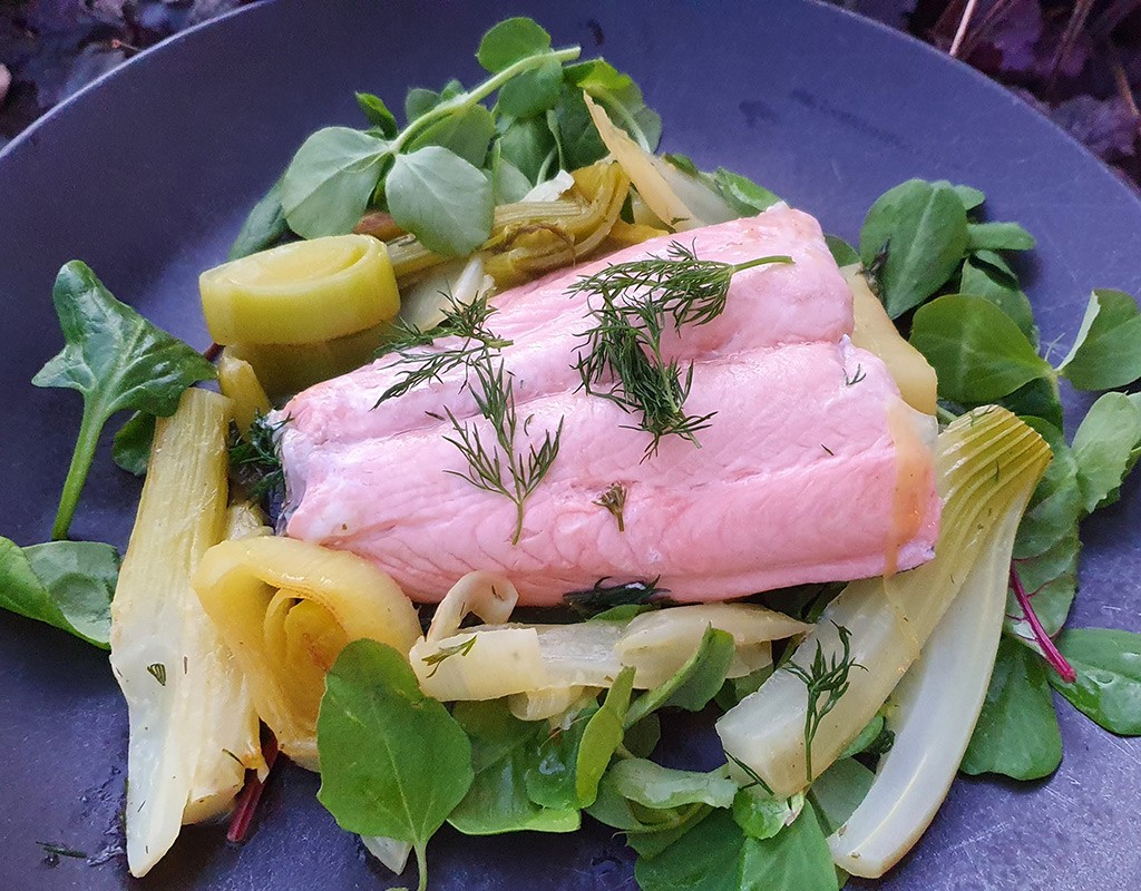 Wild salmon with sautéed leek and fennel