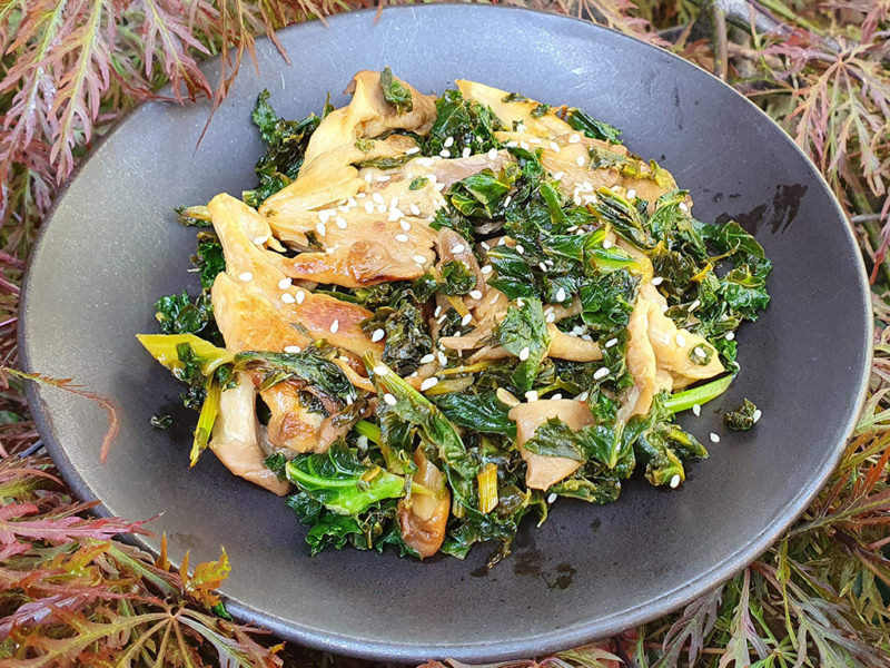 Oyster mushroom and kale fry