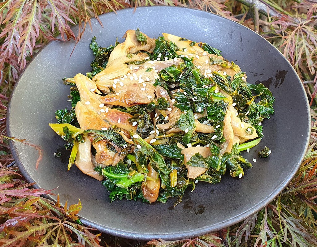 Oyster mushroom and kale fry