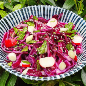 Japanese red cabbage and radish salad