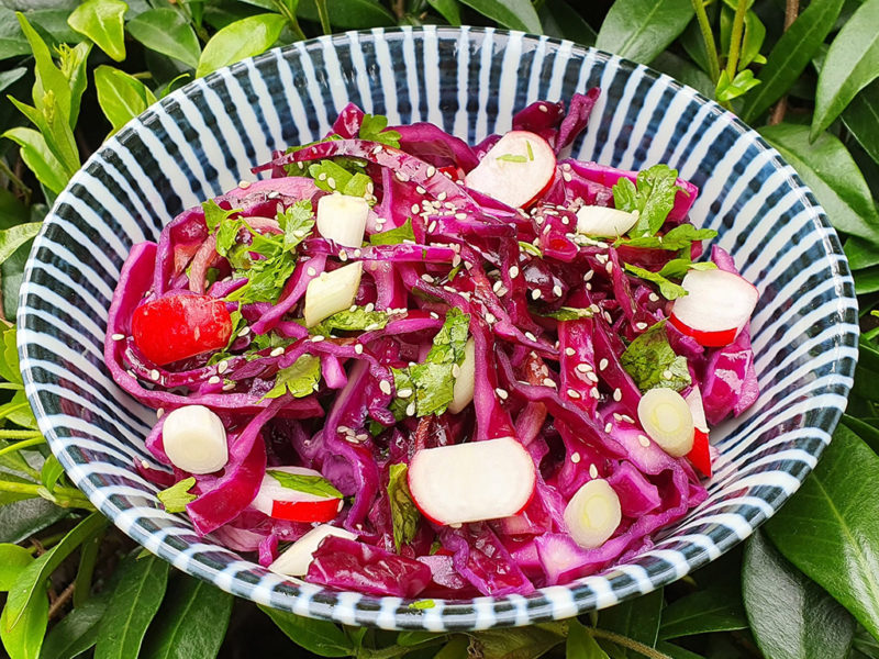 Japanese red cabbage and radish salad