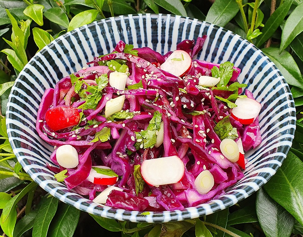 Japanese red cabbage and radish salad