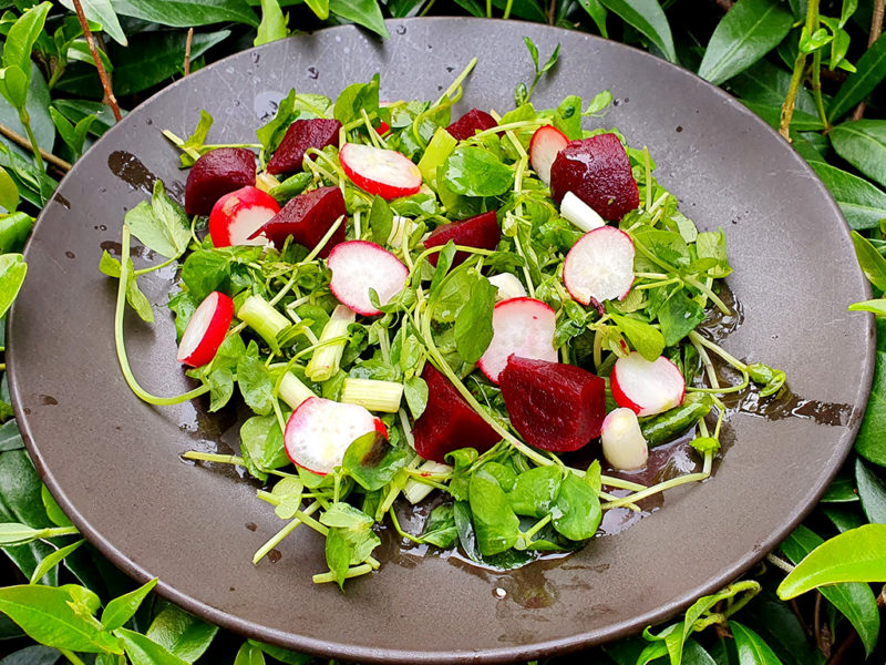 Pea shoot and beetroot salad