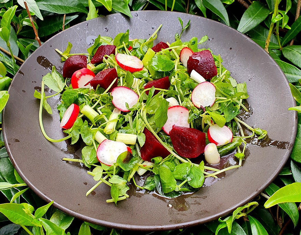 Pea shoot and beetroot salad