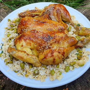 Teriyaki butterflied chicken with edamame beans and rice