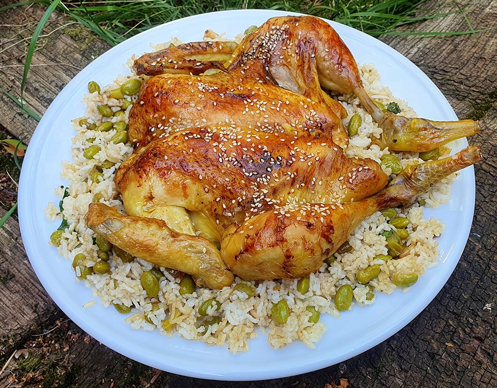 Teriyaki butterflied chicken with edamame beans and rice