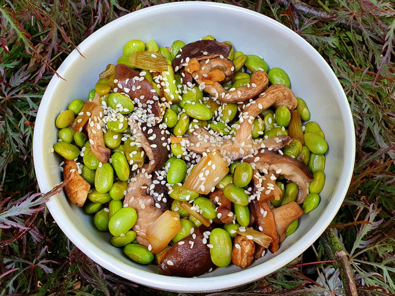 Teriyaki shiitake and edamame beans salad