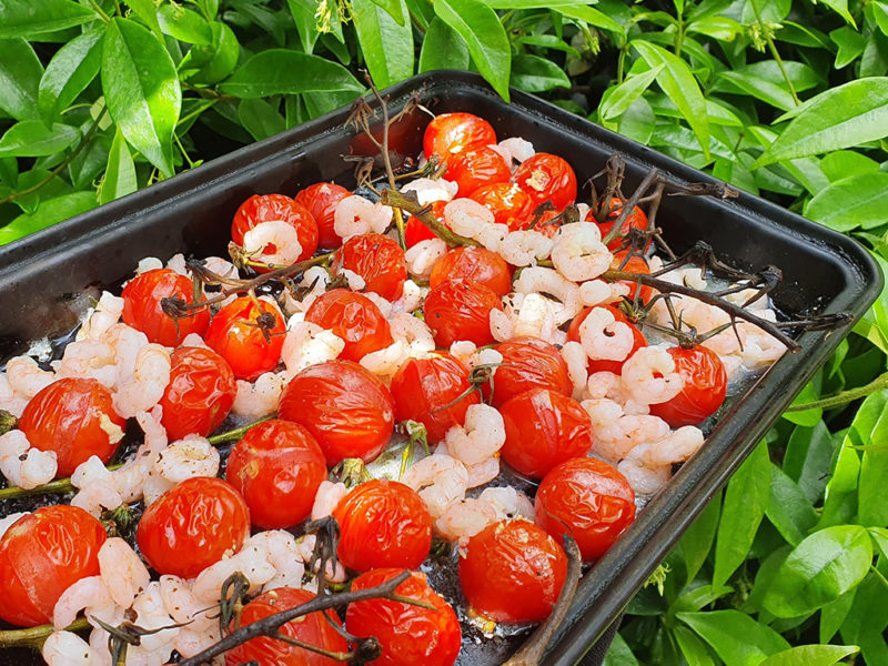 Roasted tomatoes with shrimps