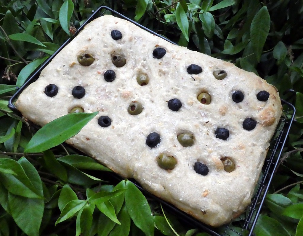 Focaccia with olives