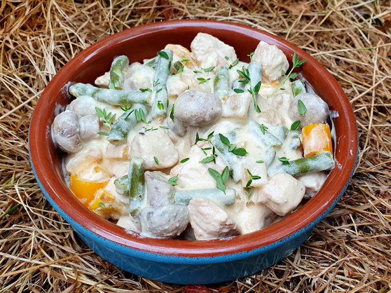 Turkey breast in creamy mushroom sauce