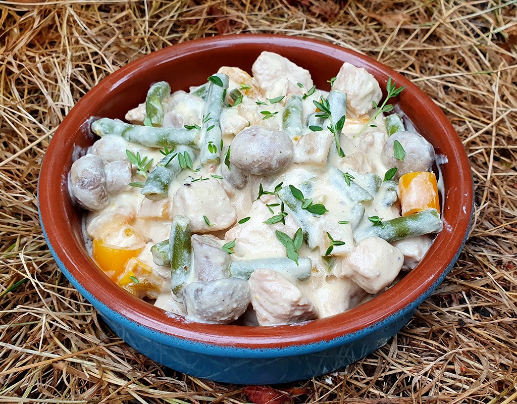 Turkey breast in creamy mushroom sauce