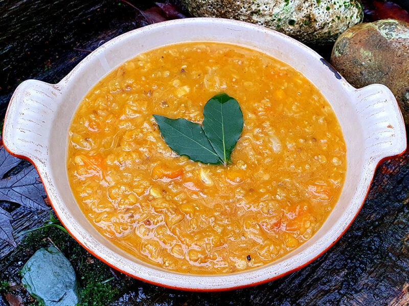 Butternut squash and red lentil dhal