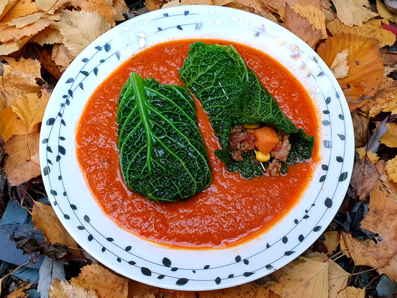 Stuffed cabbage in sweet potato sauce