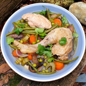 Zesty chicken and vegetable stew