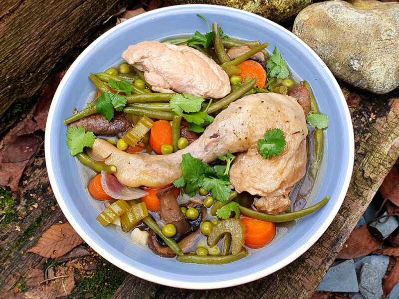 Zesty chicken and vegetable stew