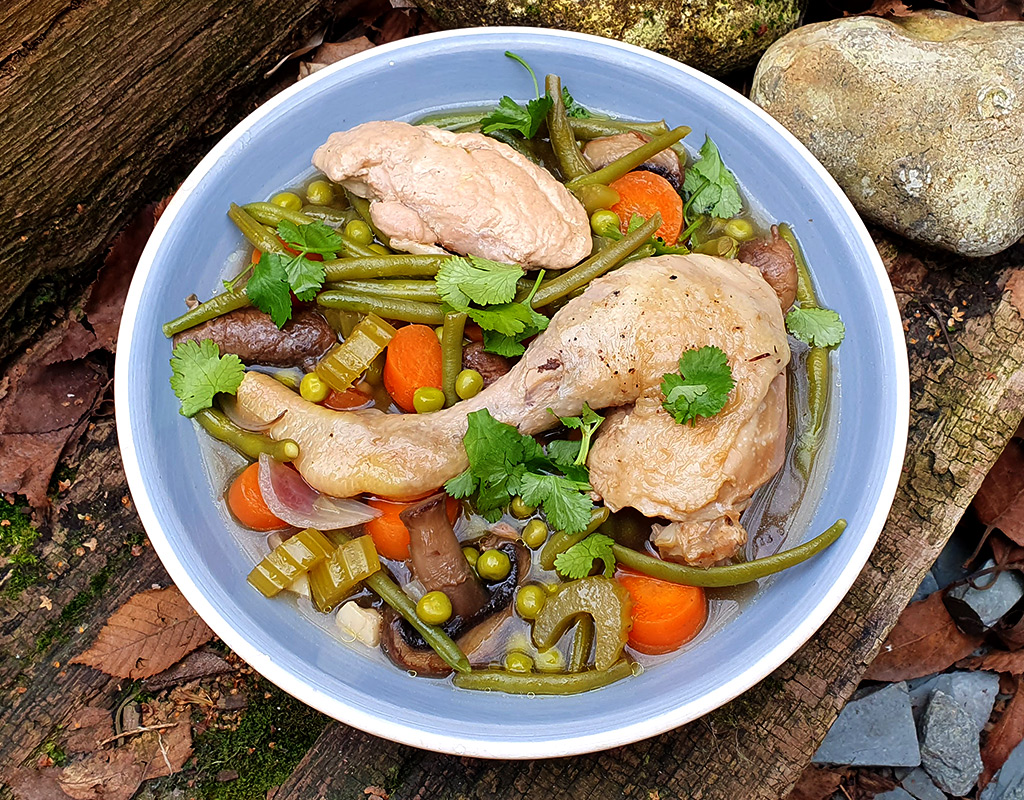 Zesty chicken and vegetable stew