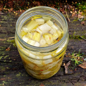 Pickled spring onion