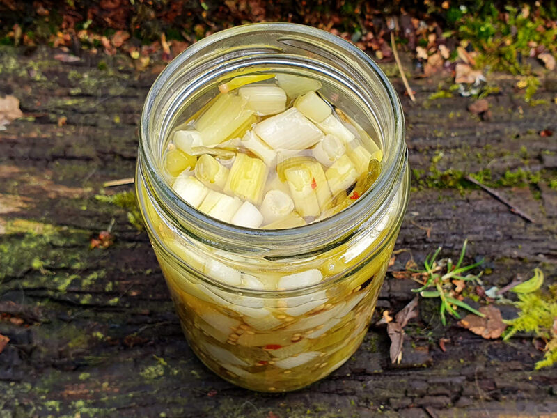 Pickled spring onion