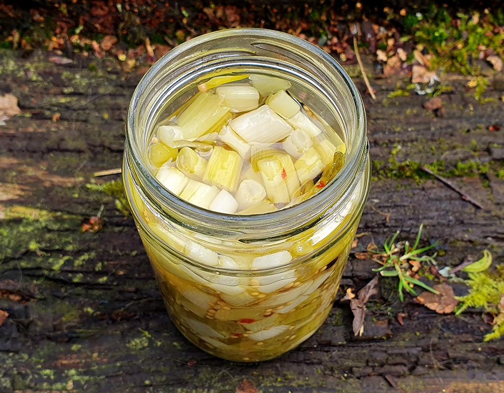 Pickled spring onion