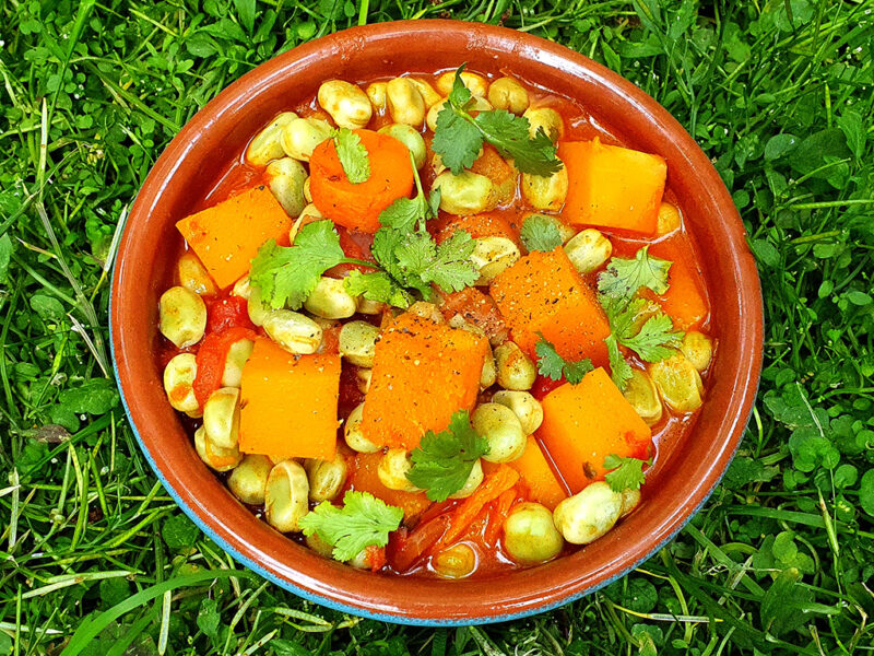 Harissa butternut squash and broad beans stew