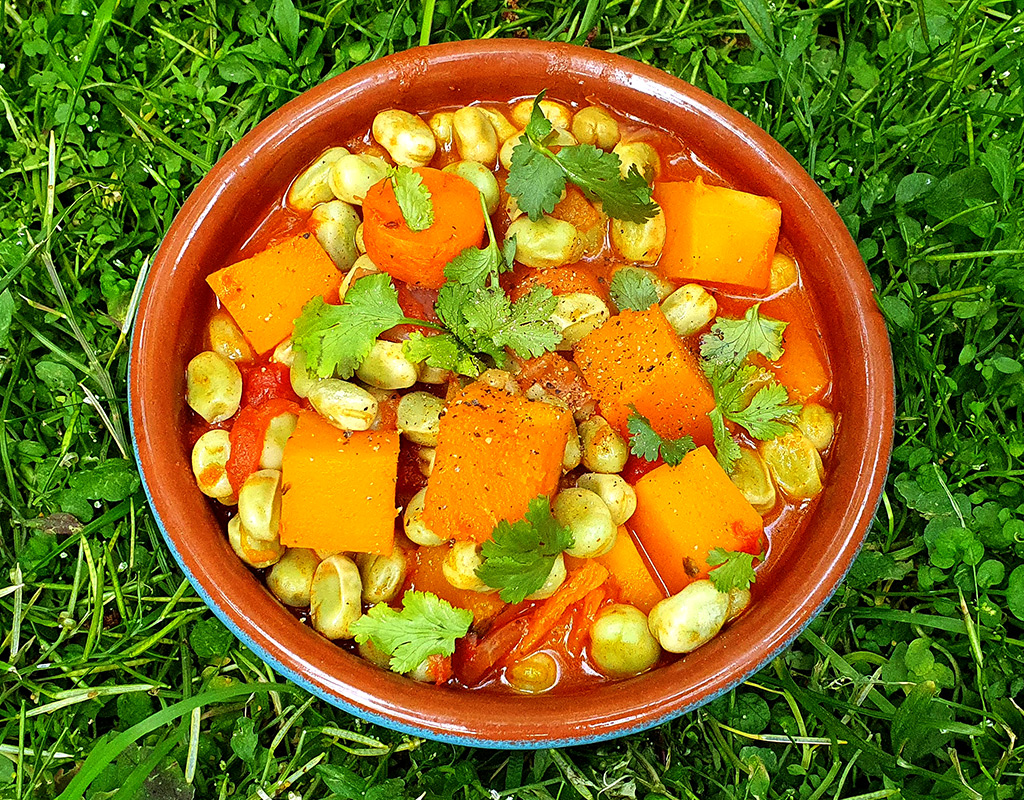 Harissa butternut squash and broad beans stew