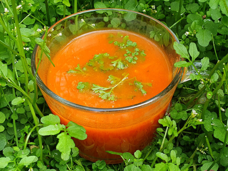 Tomato soup with sweet potato and swede