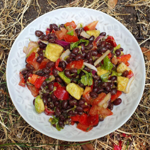 Black beans and avocado salad