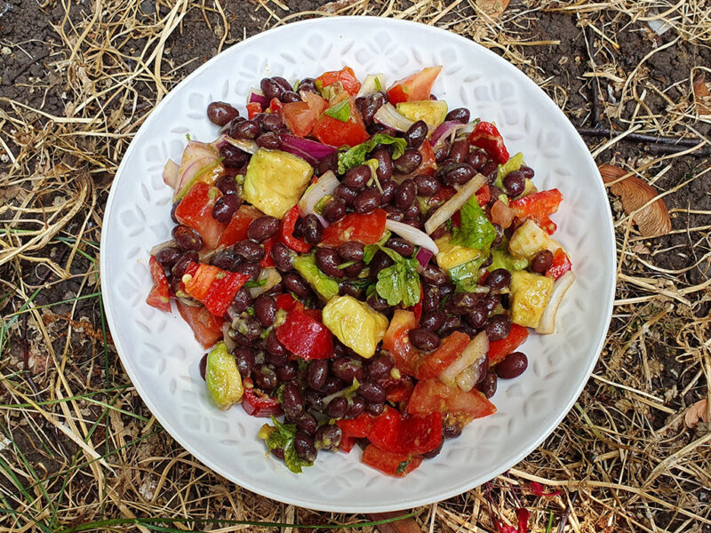 Black beans and avocado salad