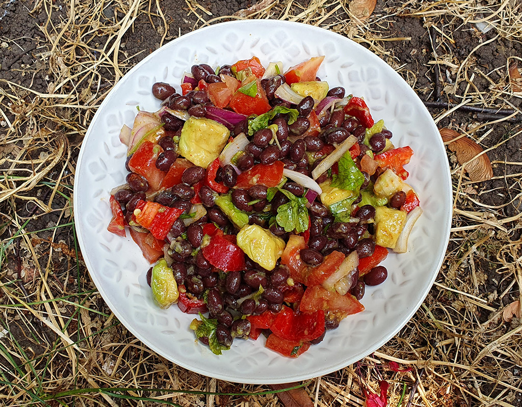 Black beans and avocado salad