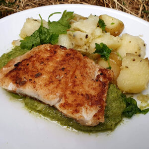 Spiced fish with broccoli puree