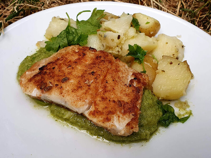 Spiced fish with broccoli puree