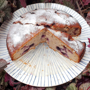 Blueberry and lemon cake