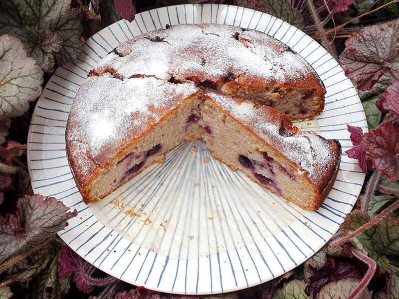 Blueberry and lemon cake