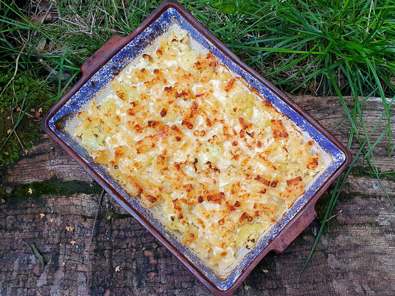 Cauliflower macaroni cheese