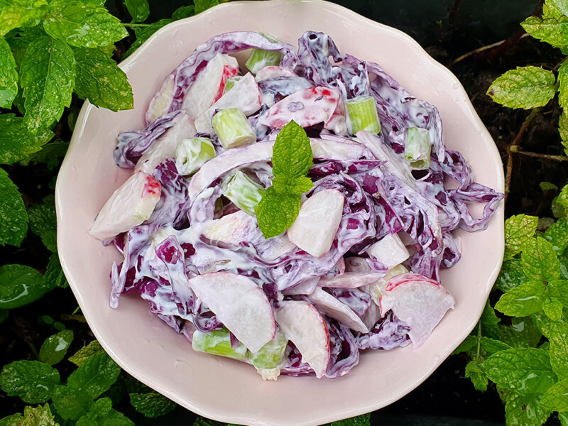 Creamy red cabbage and radish salad