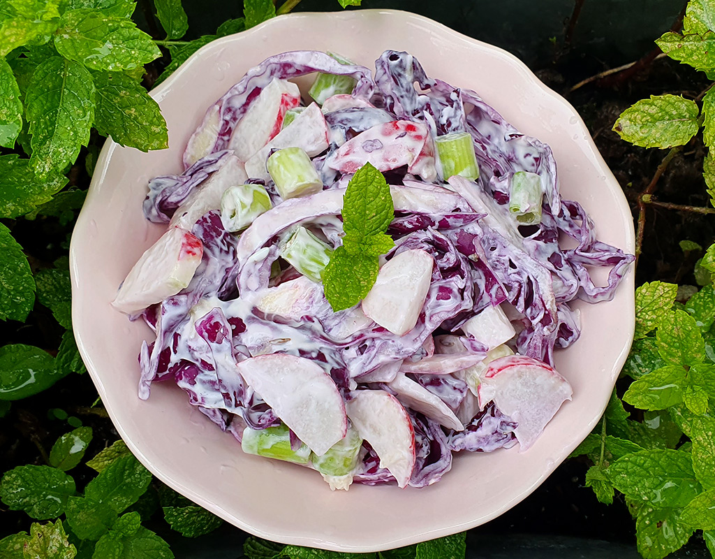 Creamy red cabbage and radish salad