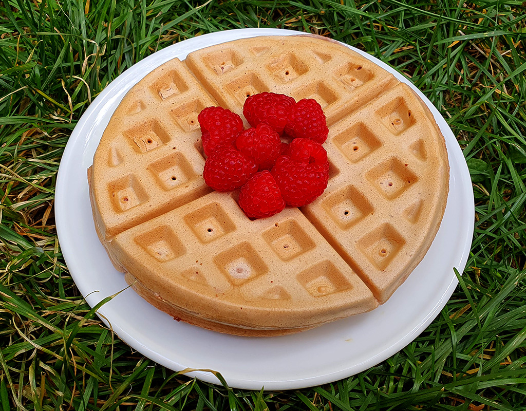 Raspberry waffles