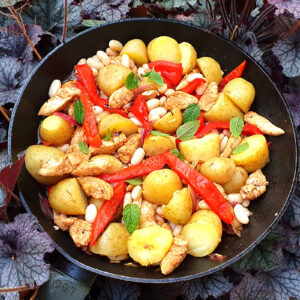 Warm potato, chicken and bean salad